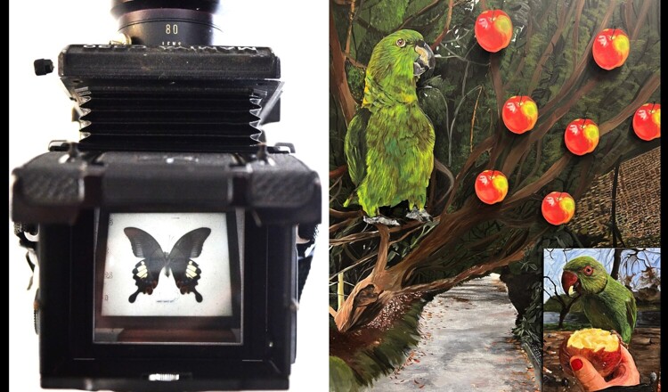 Art and Photography Exhibition - Thursday, July 13th: 5-7pm